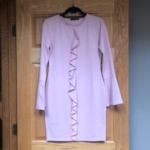 Blush Bodycon Bell Sleeve Dress